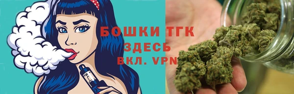 гашик Сосновоборск