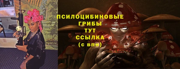 прущая мука Белокуриха