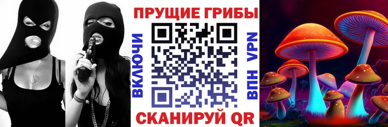 Галлюциногенные грибы прущие грибы  Высоковск 