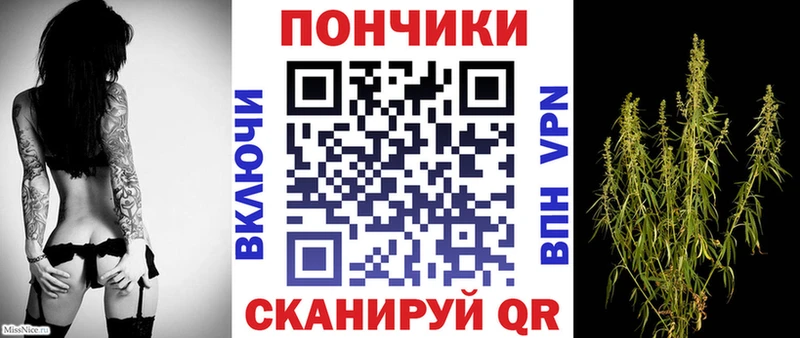 OMG ONION Высоковск МАРИХУАНА конопля